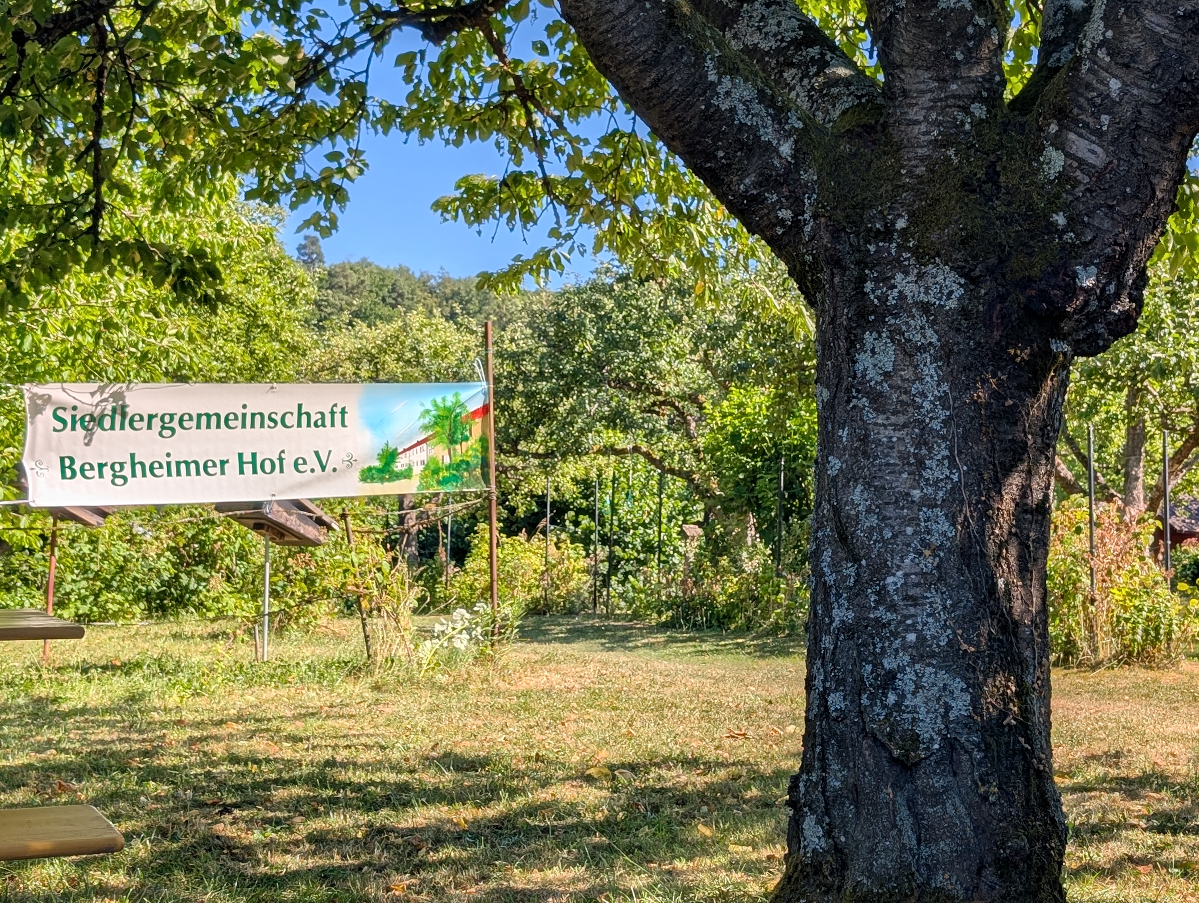 Siedler- Gartenfest